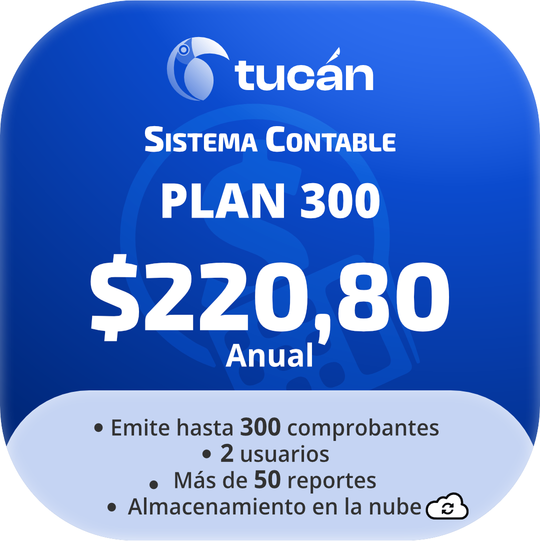 Sistema Contable - Plan 300